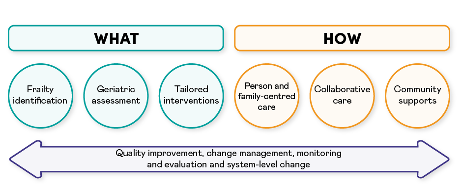 Infographic on the AFCC approach: WHAT: Frailty identification, Geriatric Assessment, Tailored Interventions. HOW: Person and Family-Centred Care, Collaborative Care, Community Supports. In an arrow spanning under the What and How are the following words: Quality Improvement, Change Management, Monitoring and Evaluation and System Level Change.
